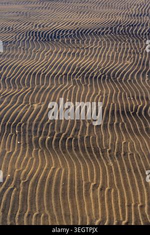 Un gros plan époustouflant des ondulations de sable naturelles créant un motif fascinant. Cette photo haute résolution capture la texture détaillée et les lignes organiques Banque D'Images