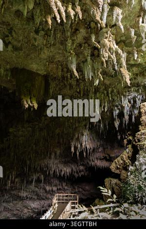 À l'intérieur de la grotte Rawhiti, également connue sous le nom de grotte de Manson, se trouve une grande grotte calcaire dans l'île du Sud de la Nouvelle-Zélande Banque D'Images