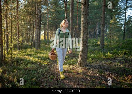 Femme avec un panier en osier plein de porcini marchant dans la forêt d'automne cueillant des champignons comestibles. Banque D'Images