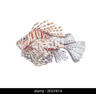 Poisson-lion aquarelle isolé sur fond blanc. Illustration marine dessinée à la main de poissons tropicaux rayés exotiques avec des épines dangereuses. Déta réaliste Banque D'Images