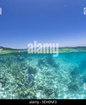 Vue d'un plan partagé montrant un récif corallien vibrant sous l'eau turquoise et un ciel bleu clair Guanaja, département des îles Bay, Honduras. Banque D'Images