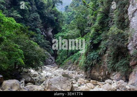 Lit de rivière rocheux dans la gorge Sanzhanxi. Paysage du parc national de Taroko à Hualien, Taiwan. Une forêt verte dense couvre des falaises de montagne abruptes. Banque D'Images