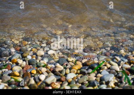 Gros plan de l'eau claire lavant doucement sur des galets colorés sur le rivage ensoleillé, fond de texture naturelle avec des pierres et des vagues, concept de voyage d'été. Banque D'Images