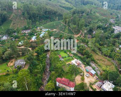 Vue aérienne de plantations de thé luxuriantes sur des collines, des maisons dispersées et un ruisseau sinueux entouré d'arbres tropicaux denses à Nallathanniya, cent Banque D'Images