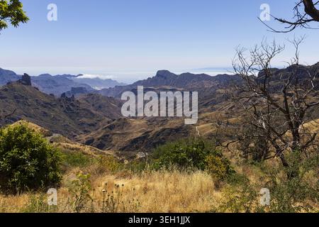 Panorama de montagne pittoresque encadré par des arbres et des prairies sèches dans la région de Roque Nublo sur l'île de Gran Canaria. Banque D'Images