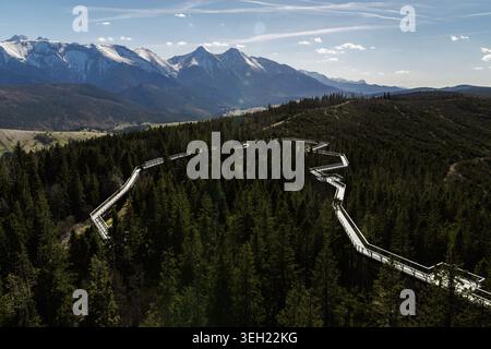 La photo en grand angle capture la passerelle en bois qui serpente à travers la forêt avec des sommets montagneux poussiéreux de neige à l'horizon. Affiche l'intégration de l'attrac Banque D'Images