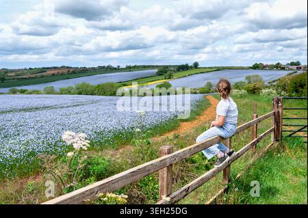 Fille assise sur une clôture en bois à côté des champs de lin en fleurs Banque D'Images