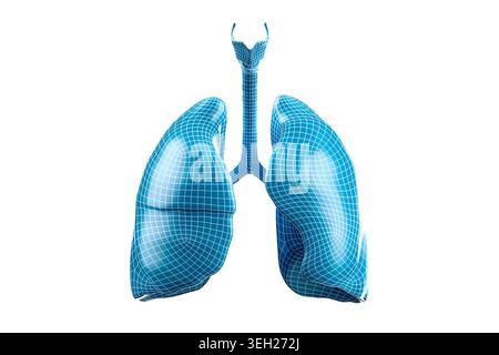 Une illustration numérique de poumons humains représentés dans un style filaire bleu, mettant en valeur la structure et l'anatomie d'une manière moderne et abstraite. Banque D'Images