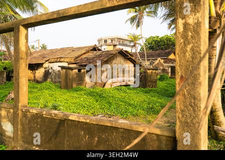 Vue de maisons traditionnelles altérées avec des toits de tuiles entourées d'une végétation luxuriante et de palmiers vus à travers une ossature de béton à Galle, Sud Banque D'Images