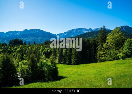 Allemagne, massives formations rocheuses alpines au-dessus de prairies verdoyantes sur la montagne Buchenberg sous le ciel bleu Banque D'Images