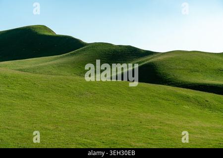 Collines verdoyantes sous un ciel bleu clair. Un paysage pittoresque avec des collines verdoyantes et herbeuses avec des courbes lisses sous un ciel lumineux et sans nuages Banque D'Images