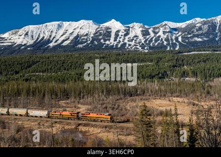 Une vue sur la montagne avec un train de marchandises dans la vallée près de Golden, Colombie-Britannique, Canada. Banque D'Images