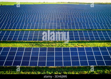 Vue aérienne de panneaux solaires dans de larges rangées parallèles sur un champ vert, grande installation photovoltaïque produisant de l'énergie renouvelable propre, paysage énergétique durable moderne Banque D'Images