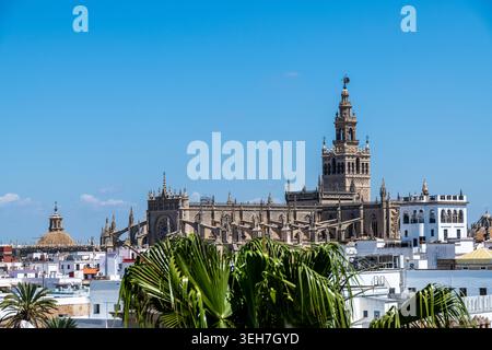 Sevilla, Sevilla - Espagne ? 04-19-2024 : Cathédrale et tour Giralda debout au-dessus de l'horizon de la ville, avec un ciel bleu clair comme toile de fond. Banque D'Images