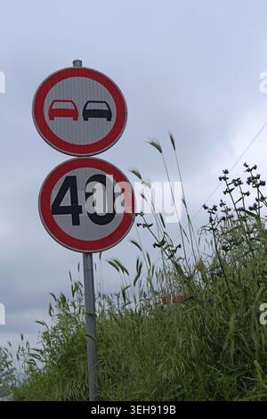 Limite de vitesse empilée de 40 km/h et panneaux routiers interdisant les dépassements sur un poteau métallique au bord d'une route, encadrée par de grandes herbes vertes et des fleurs sauvages sous un gra nuageux Banque D'Images