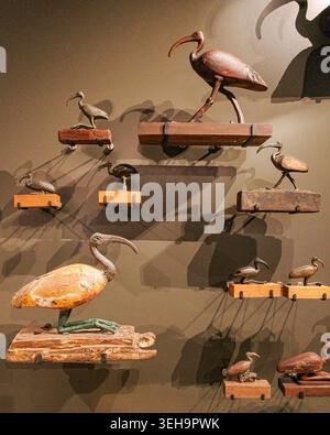 Gizeh, Égypte - 26 janvier 2026 : oiseaux momifiés exposés dans les galeries principales du Grand Musée égyptien (GEM) Banque D'Images