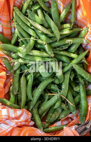 Haricots frais dans un panier tressé – Légume de saison sain et ingrédient naturel de cuisine Banque D'Images