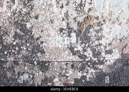 Surface de béton altérée avec lichen et fissures Banque D'Images