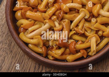 Nourriture, délicieux champignons au miel marinés avec du sel et des épices dans une assiette en céramique sur un fond texturé foncé Banque D'Images