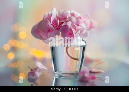 Élégantes hortensias roses dans un vase en verre avec fond bokeh doux Banque D'Images