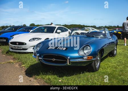 1964 Jaguar E-type Series 1 Roadster, exposé lors du Great British Jaguar Day qui s'est tenu à Bicester Motion le 23 mai 2026. Banque D'Images