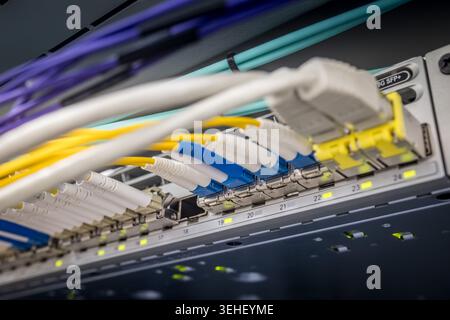 Gros plan de plusieurs connecteurs LC à fibre optique colorés et câbles réseau connectés à des ports de commutateur 10G SFP plus dans un serveur de centre de données professionnel Banque D'Images