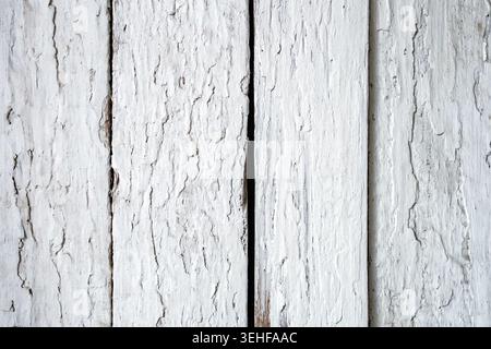 le fond est fait de vieilles planches en bois peintes avec de la peinture blanche Banque D'Images