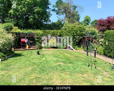Charmante maison de banlieue avec détails de style Tudor et baies vitrées baignées dans le jardin ensoleillé d'été d'une herbe verte avec buitifull pelouse coupée Banque D'Images