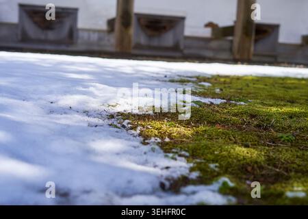 Une photo en gros plan à faible angle capturant la transition saisonnière entre l'hiver et le printemps, montrant des plaques de neige fondante révélant progressivement Banque D'Images
