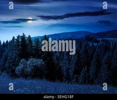 Sapins sur une prairie vers le bas de la volonté à la forêt de conifères dans les montagnes de l'Ukraine la nuit. pleine lune sur le fond de la nature de carpates montagne lan Banque D'Images
