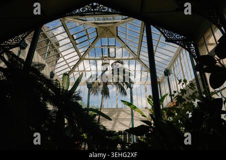 À l'intérieur de la serre du conservatoire Pavilion Gardens à Buxton, Derbyshire, Angleterre, Royaume-Uni. Chemin intérieur avec des plantes tropicales vertes sur une journée d'été ensoleillée Banque D'Images