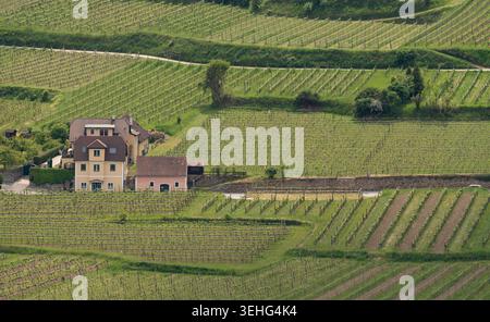 Domaine privé de vignobles parmi les champs verdoyants et les collines cultivées. Banque D'Images