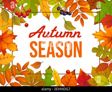 Bannière de saison d'automne avec cadre de feuilles tombantes pour les salutations saisonnières, affiche vectorielle. Bannière de saison d'automne cadre de feuillage automnal de baies de rowan, de chêne ou d'érable, d'orme et de feuilles de bouleau Illustration de Vecteur