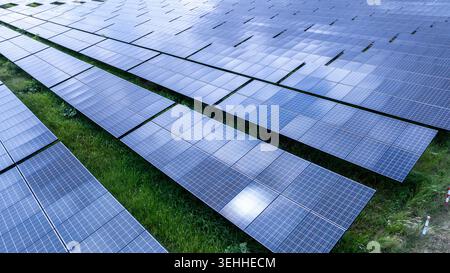 Rangées de panneaux solaires utilitaires dans un champ vert à chaiyaphum thaïlande démontrant l'énergie renouvelable et la production d'énergie durable. Banque D'Images