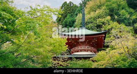 Pagode rouge japonaise traditionnelle entourée d'une forêt verdoyante, Kyoto, Japon Banque D'Images