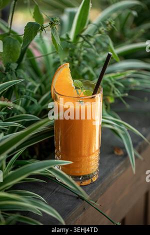 Smoothie à l'orange fraîche parmi les plantes vertes Banque D'Images