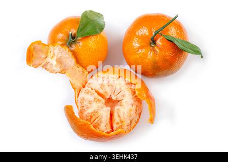 Deux mandarines entières (Citrus reticulata) avec des feuilles et une mandarine pelée sont positionnées sur un fond blanc. Banque D'Images