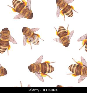 Motif aquarelle sans couture avec abeilles, ailes translucides et paniers de pollen jaune sur fond blanc. Motif minimal de répétition peint à la main pour Banque D'Images