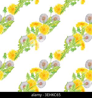 Motif aquarelle sans couture avec guirlandes diagonales de pissenlits jaunes, têtes de graines et feuilles vertes sur blanc. Motif botanique répétitif peint à la main Banque D'Images