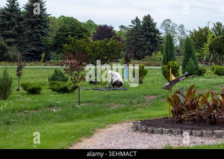 Personne engagée dans des travaux d'aménagement paysager organisés par un professionnel ou une communauté, probablement dans un jardin botanique ou un grand parc public Banque D'Images