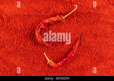 Gros plan de poudre de Chili rouge vif avec deux poivrons séchés entiers sur la surface texturée des épices. Concept d'assaisonnement chaud pour les mélanges de curry Banque D'Images
