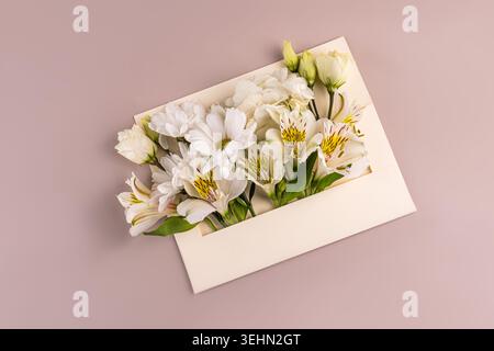Fleurs d'alstroemeria blanches disposées dans une enveloppe ouverte sur un fond pastel doux, composition plate minimale pour cartes de voeux, invitations, lov Banque D'Images