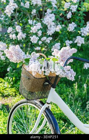 Vélo blanc vintage avec panier rempli de fleurs de lilas se dresse sur l'herbe verte dans un jardin de printemps fleuri. Fraîche, florale, scène de campagne sous Banque D'Images