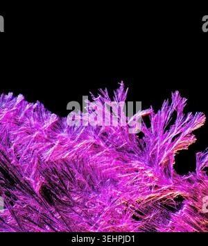 Cristaux de permanganate de potassium sous le microscope, formant des structures magenta vives sur noir - un fond scientifique frappant avec espace de copie. Banque D'Images