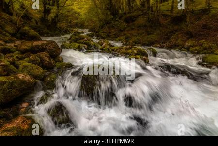 Ruisseau de montagne traversant des roches couvertes de mousse près de la source de la rivière Željeznica en Bosnie-Herzégovine Banque D'Images