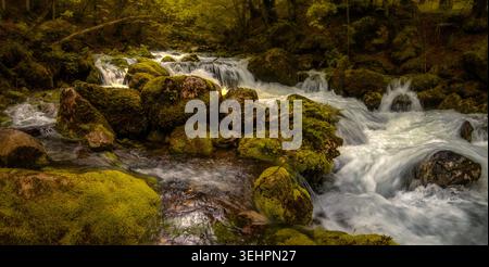 Ruisseau de montagne de la rivière Željeznica près de Trnovo et la source de la rivière Bosna, Bosnie-Herzégovine Banque D'Images
