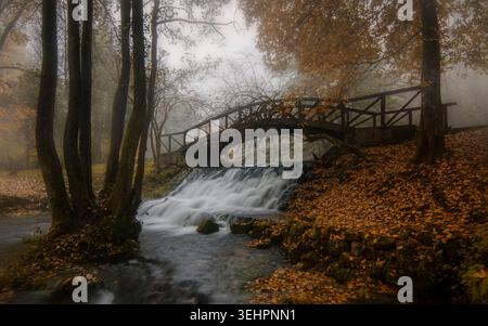 Pont en bois sur le ruisseau à Vrelo Bosne en automne, Bosnie-Herzégovine Banque D'Images