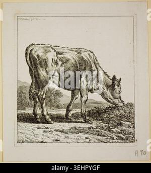 Alimentation des veaux par Johann Christian Reinhart, 1800, représentant un jeune bovin pâturant dans un paysage pastoral rural avec des collines et de la végétation en arrière-plan Banque D'Images
