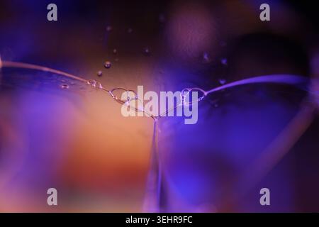 Plan macro abstrait d'avions liquides texturés avec éclairage orange et violet néon. Fond microscopique Banque D'Images