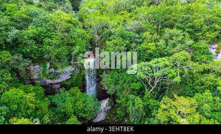 Une cascade époustouflante descend les falaises rocheuses, entourées d'un feuillage vert vibrant au cœur de la nature colombienne. Banque D'Images